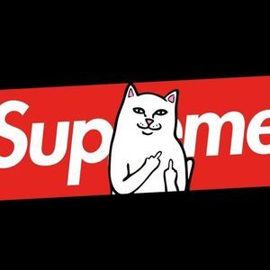 Meet your Posher, Fernando perez